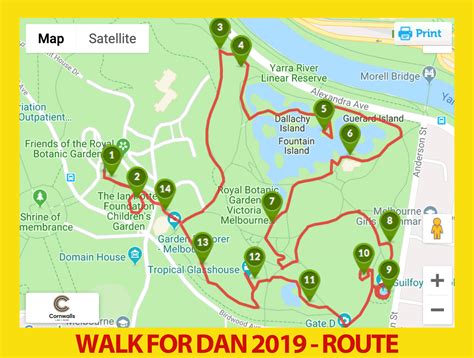 Walk For Dan 26 May 2019 Bladder Cancer Australia