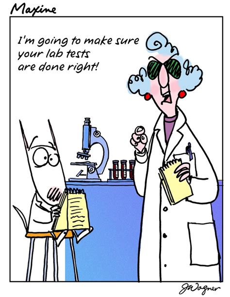 Funny Phrases About Lab Tech Medical Laboratory Funny Quotes