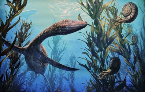 Fossil Scan Reveals Secrets Of New Zealands Extinct Marine Reptiles