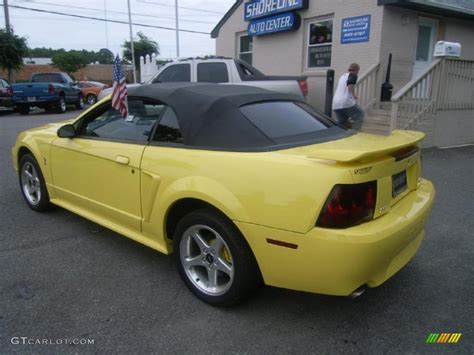 2001 Zinc Yellow Metallic Ford Mustang Cobra Convertible 29957531