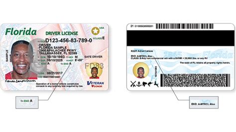 Florida Drivers Licenses Id Cards Getting A Makeover