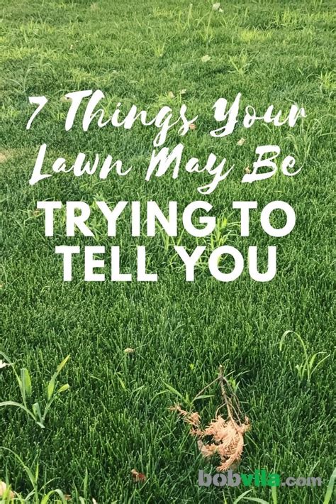 Lawn Problems 7 Things Your Lawn Is Trying To Tell You Bob Vila