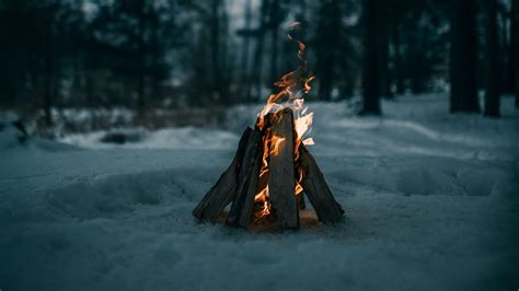 Wallpaper Bonfire Fire Firewood Snow Winter Hd Picture Image