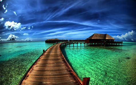 148 Tropical Hd Wallpapers Background Images Wallpaper Abyss