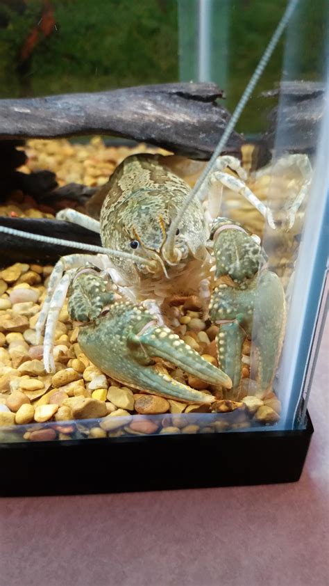 Who is the author of the book beautiful boy? My beautiful boy! : Aquariums
