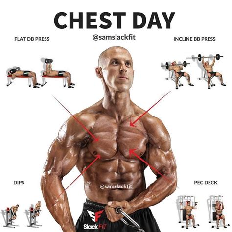 Pin By J Narcomey On Interesting Best Chest Workout Workout Programs