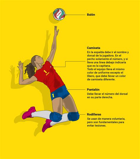 Total 40 Imagen Cuales Son Los Movimientos Del Voleibol Viaterramx