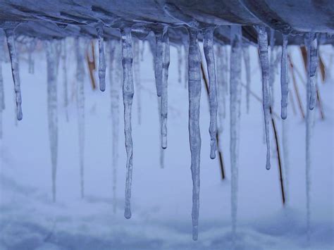 Hd Wallpaper Cold Temperature Winter Icicle Snow Ice Frozen