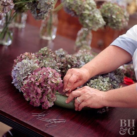 It's perfect for specimen plantings, mixed borders, and mass plantings. How to Dry Hydrangeas for Gorgeous Floral Decor | Dried ...