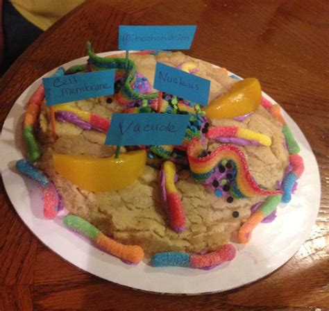 Nucleusthe nucleus is the powerhouse of the cell, it controlseverything. Addie's Animal Cell Project (edible) | Kids | Pinterest ...