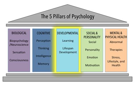 The Developmental Domain Introduction To Psychology Lumenopenstax