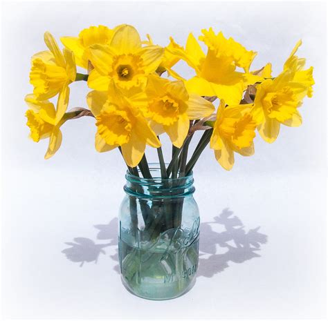 Daffodils In Blue Mason Jar How To Paint Clear Mason Jars Flickr