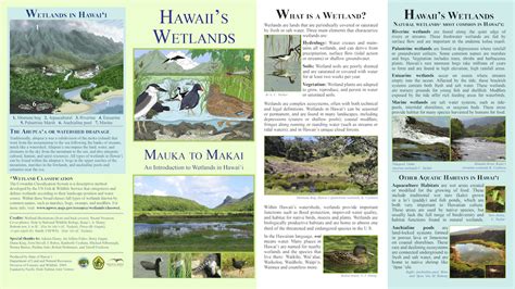 Resources Pacific Birds Habitat Joint Venture