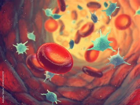 Plakat Red Blood Cells Erythrocytes And Platelets Thrombocytes