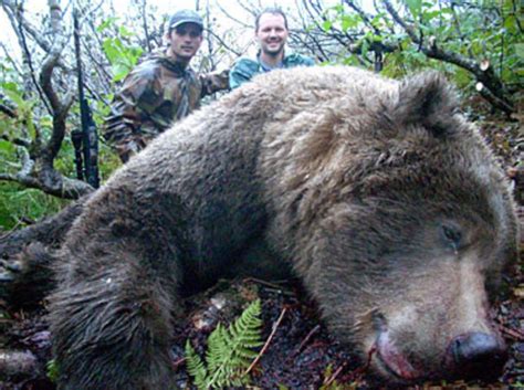 Check spelling or type a new query. Alaska Peninsula Brown Bear Hunts | Alaskan Hunts