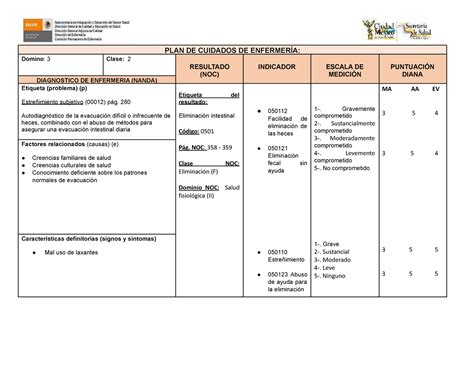 Place Estreñimiento subjetivo PLAN DE CUIDADOS DE ENFERMERÍA Domino Clase RESULTADO