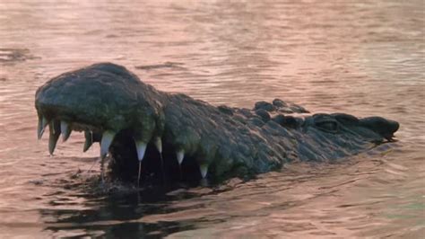 14 Crocodile Horror Movies Worth Tearing Into