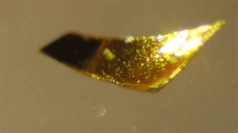 158 Morgellons New Found Golden Shiny Reflecting Crystal Fragments