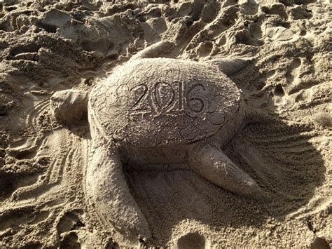 Sand Sea Turtle On The Beachdeerfield Beach Florida Sand Art