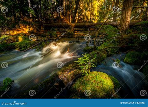 Water Cascade Clearwater Creek Umpqua National Forest Stock Photo