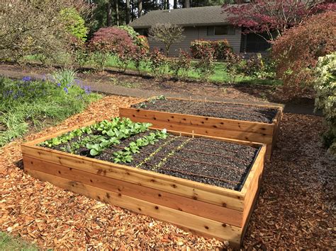Raised Garden Beds — Portland Edible Gardens Raised Garden Beds