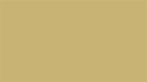 Pantone 16 0836 Tcx Rich Gold Color Hex Color Code C8b273