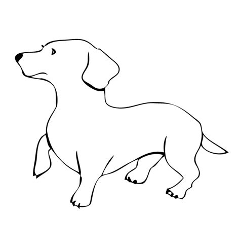Dog Outline Template Clipart Best