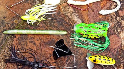 Best Bait For Pond Fishing Fish Choices