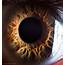 Your Beautiful Eyes  Amazing Close Up Photos Of Human By Suren