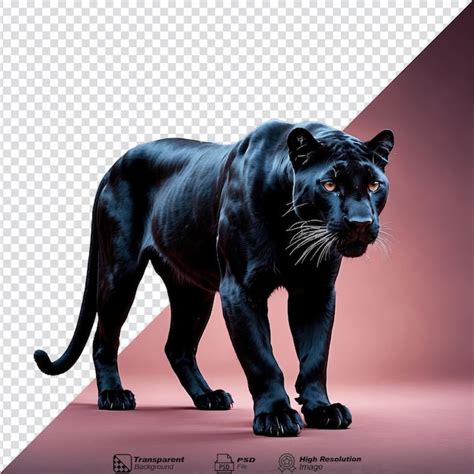 Premium Psd Panther Isolated On Transparent Background