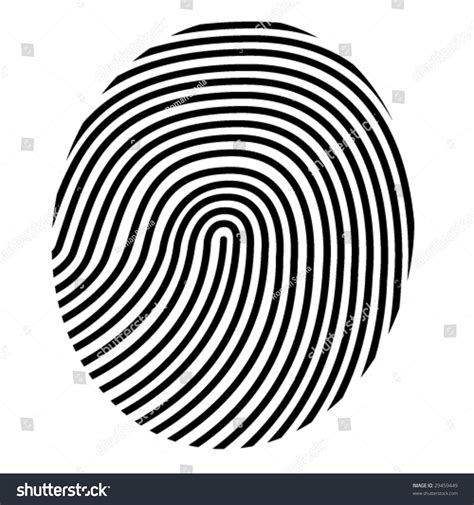 Use a 6b or dark pencil to draw a thin line on your paper. Drawing Vector Fingerprint Stock Vector 29459449 ...