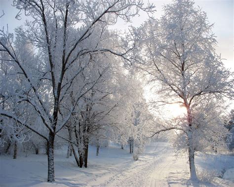 Hintergrundbilder Sonnenlicht Bäume Landschaft Himmel Schnee