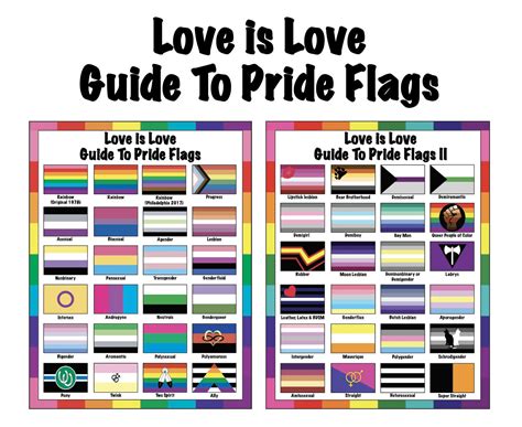Love Is Love Guide To Pride Flags Lgbtq Flags Lgbtqia Etsy Uk