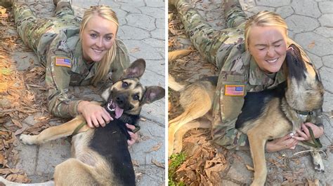Us Soldier Cares For Injured Dog Overseas Now Hopes To Bring Him Home