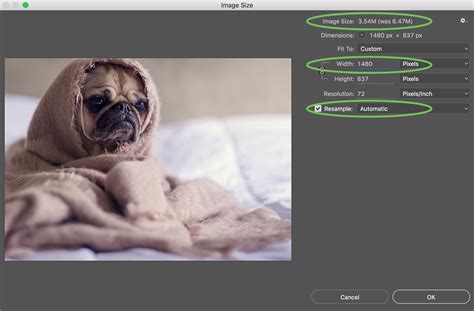 How To Resize An Image Without Losing Quality