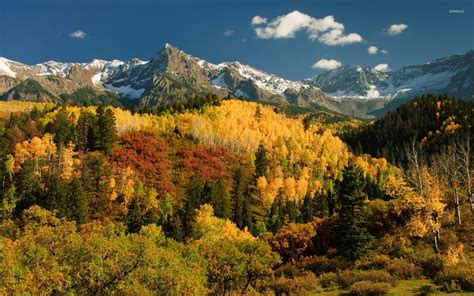 Autumn Forest By The Snowy Peaks Wallpaper Nature Wallpapers 35882