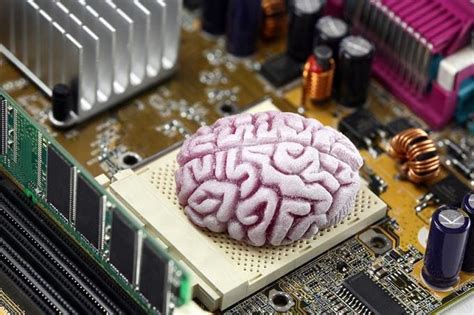 Whats Inside The Cpu Brain Of Your Pc Hubpages