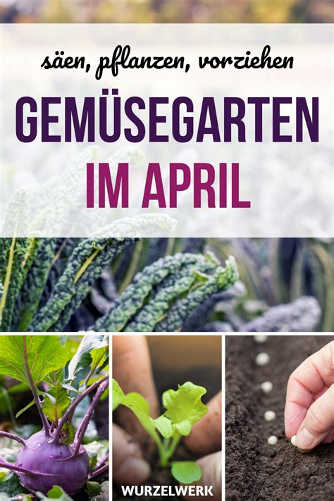 Aussaat And Pflanzen Im April Gemüsegarten Pflanzplan Pflanzplan