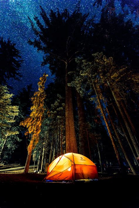 K Descarga gratis acampando en el bosque durante la noche Fondo de pantalla de teléfono HD