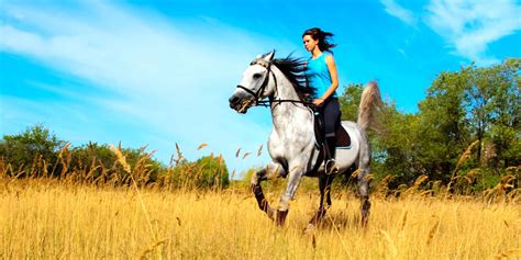 Safety Tips For Summer Horseback Riding Golden Ocala
