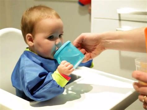 From Around Six Months Your Child Should Stop Using A Bottle To Drink