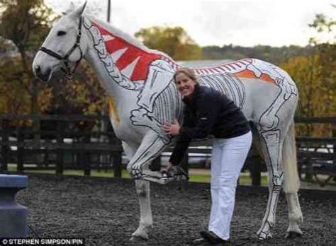 Halloween Horses: 'Horses Inside Out' Brings Horse Anatomy Up Close and
