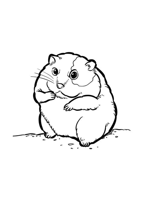 Hamster Perfeito Para Colorir Imprimir E Desenhar Colorir Me
