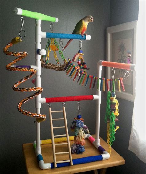 Pin By Liny On Parrot Play Stand Ideas Diy Bird Toys Parrot Toys