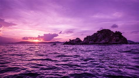 Pelican Island Purple Landscape 5k Wallpapers Hd Wallpapers