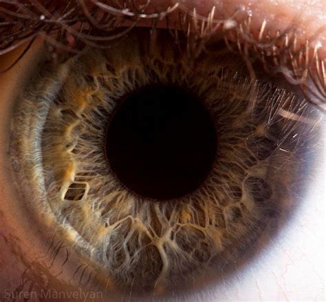 ‘your Beautiful Eyes Amazing Close Up Photos Of Human Eyes By Suren