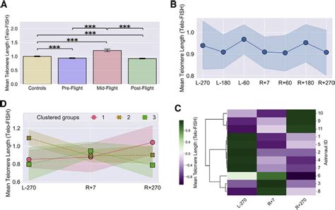 Telomere Length Dynamics And Longitudinal Clustering Of Astronaut