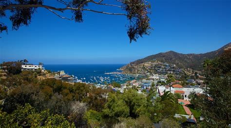 Catalina Island Ca Vacation Packages 2022 Expedia