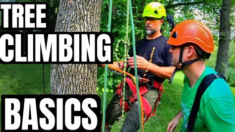 Tree Climbing Basics What Equipment Do I Need To Climb A Tree Basic