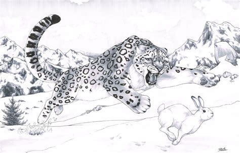 Top 25 free printable leopard coloring pages online. Snow Leopard Coloring Pages - Get Coloring Pages